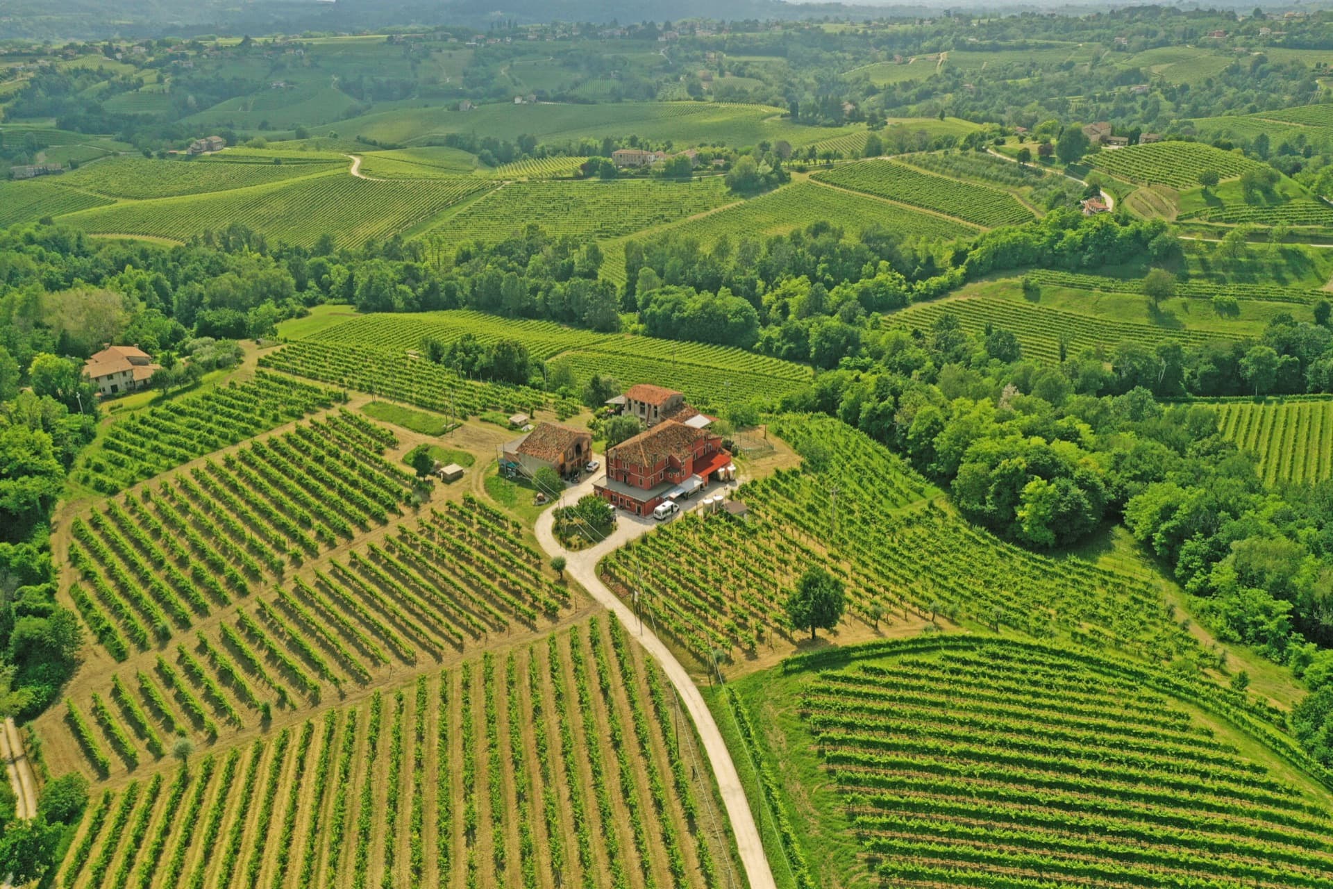 Le colline del Prosecco della DOCG Conegliano Valdobbiadene viste dall'alto